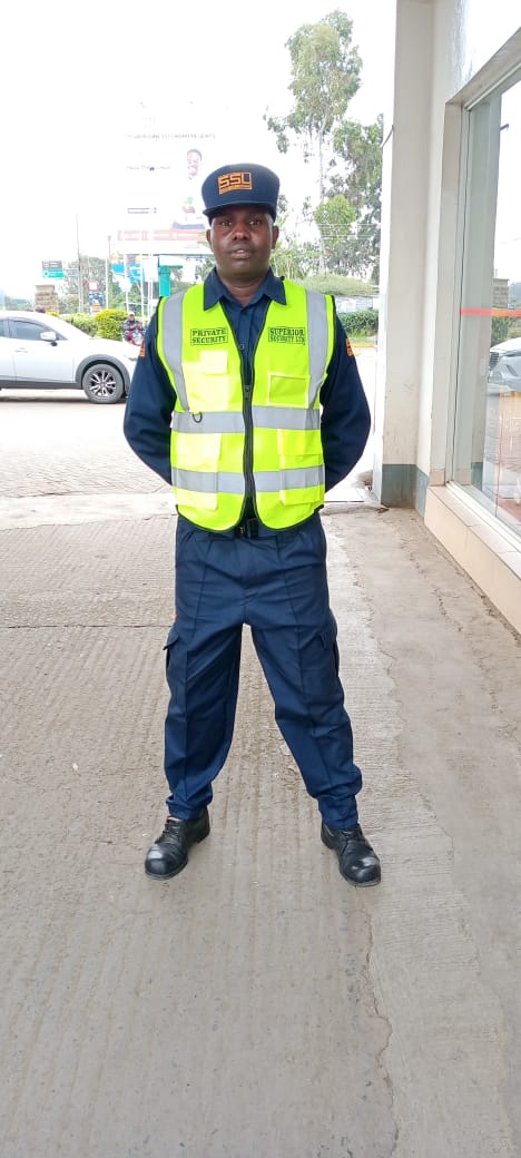 Security Professional